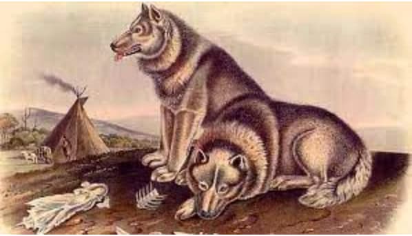 World's First Dog