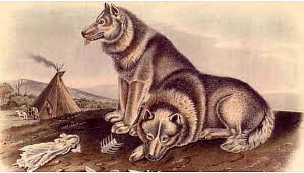 World's First Dog