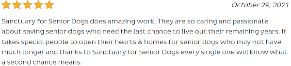 review of the Sanctuary for Senior Dogs