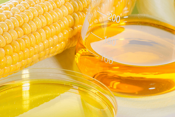 corn syrup is a common sweetener is marshmallows. It's not toxic for dogs but not super healthy