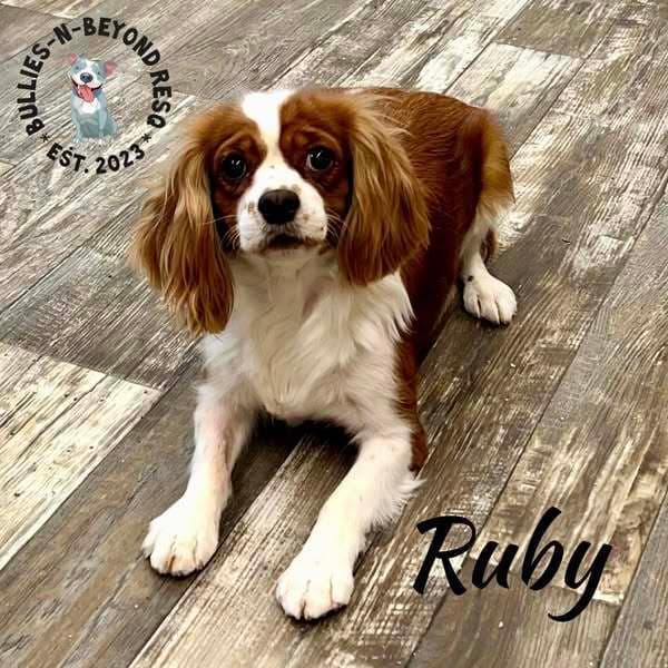 Ruby