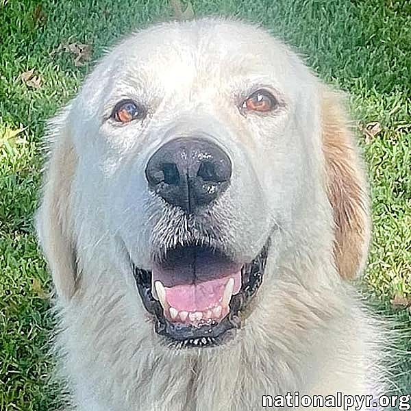 Honey in LA - The Sweetest Girl in the World!