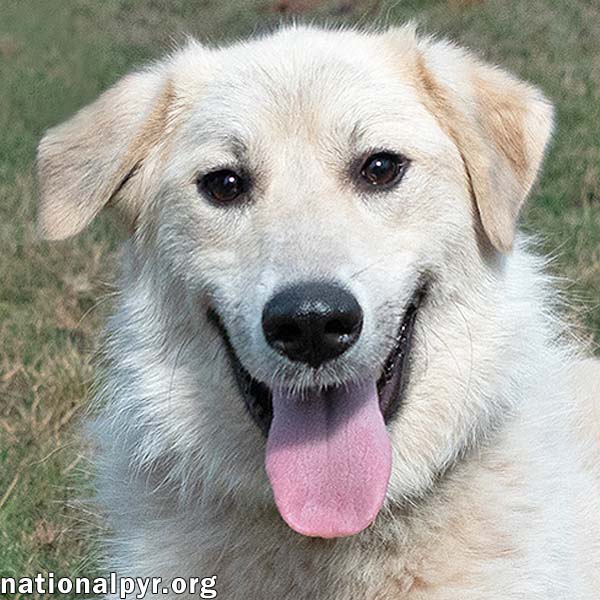 Ethel in TN - Loves to Smile & Play!