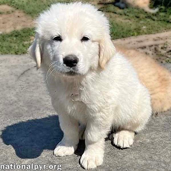 Chandler in OH - Silly, Confident & Loving!