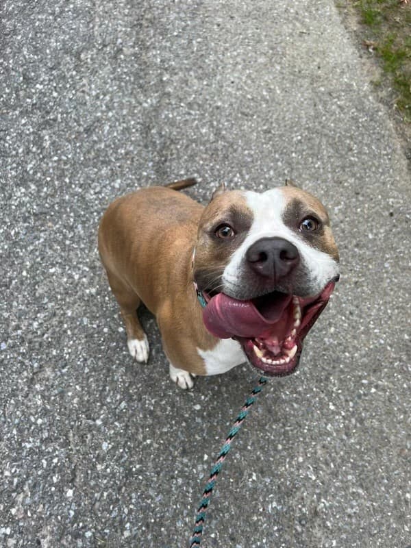 Milo