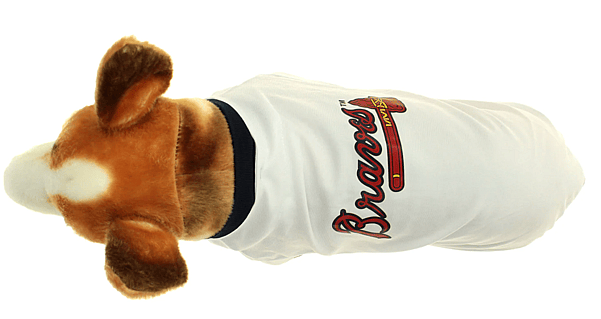 baseball dog names: atlanta braves