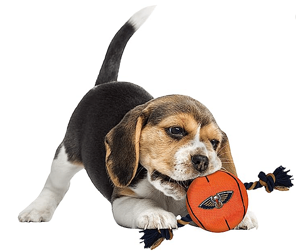 New Orleans Pelicans Dog Names