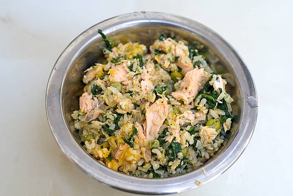 Salmon Dog Food with Spinach & Pumpkin