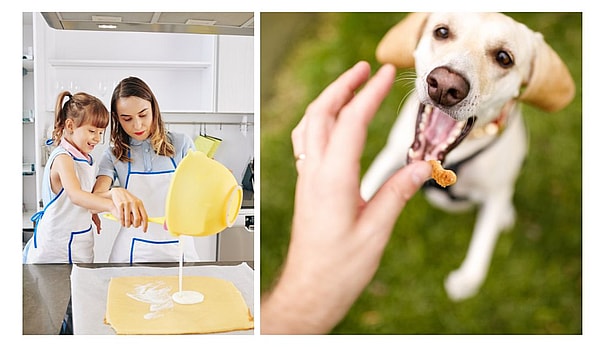 Dog's Half Birthday
