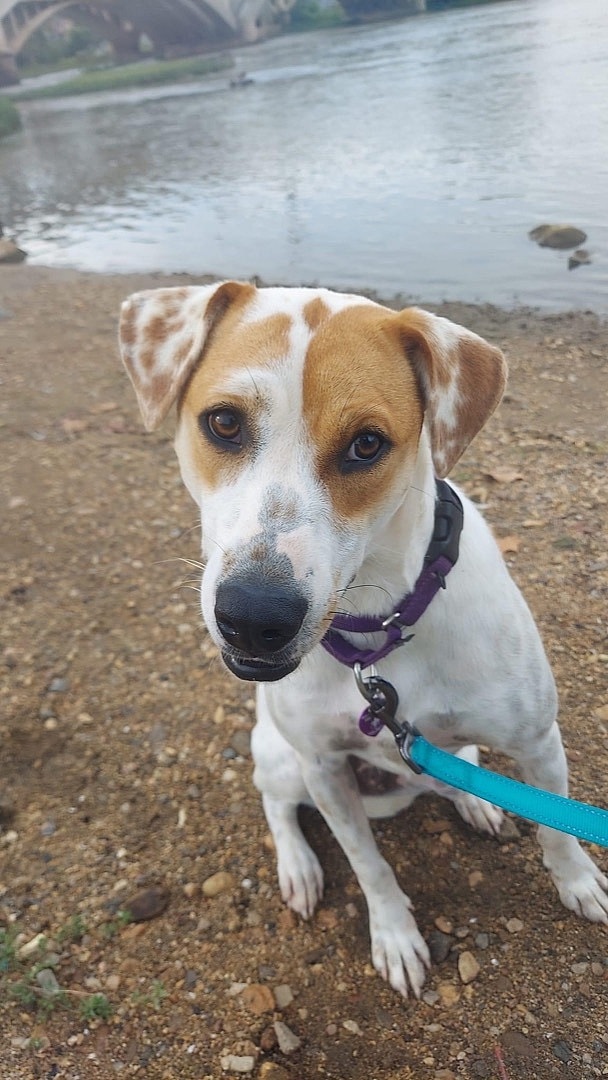 Rosie