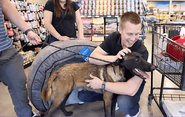 Belgian Malinois Finds His Forever Home