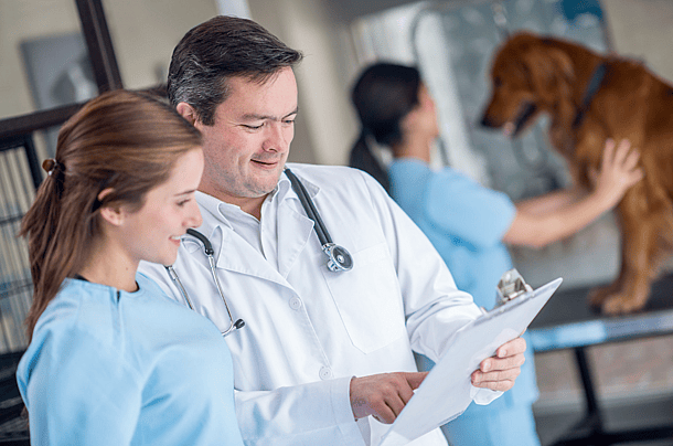 Veterinary Schools - Spay and neuter programs