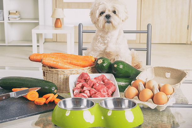 food ingredients for dogs
