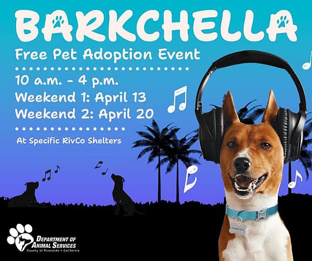 Hoarding situation: Over 100 Dogs Now Seeking Adoption After Being Rescued from Overcrowded 2-Bedroom Apartment