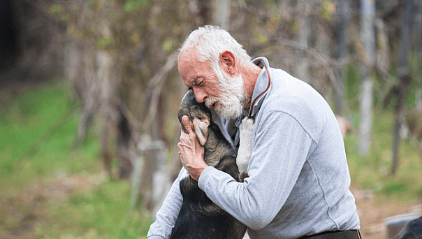 dog being Surrendered