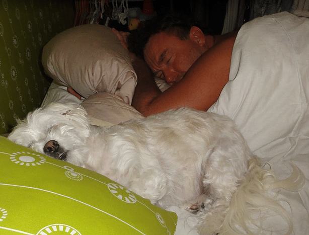 Why Do Dogs Sleep with Their Bum Facing You?