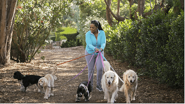 A-List Celebs Are Completely Dog Obsessed! - Operah