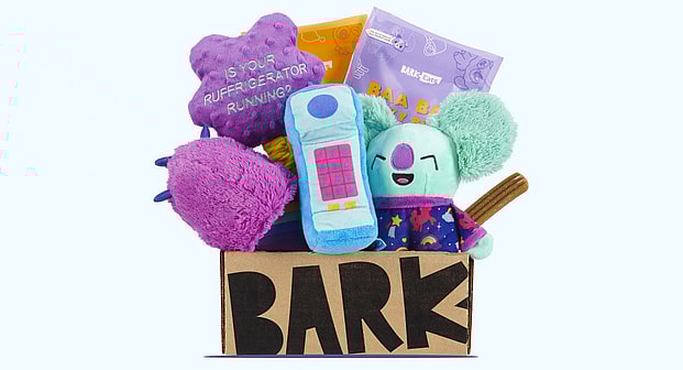 Best Toys to Keep Your French Bulldog Entertained / BarkBox