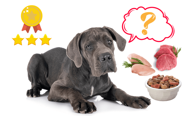best dog food for Great Dane
