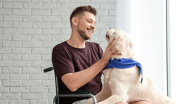 service dog and owner