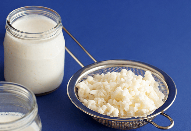 Kefir cheese