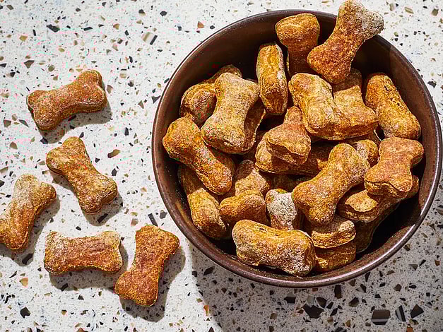 Homemade Pumpkin Dog Treats