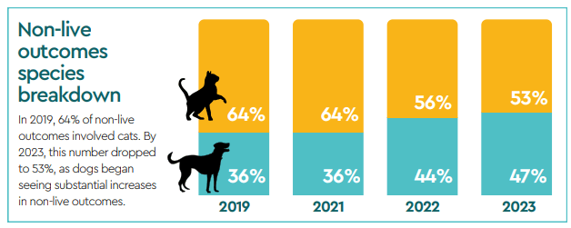 Non-Live Outcomes for Dogs in Shelters, SAC Reports