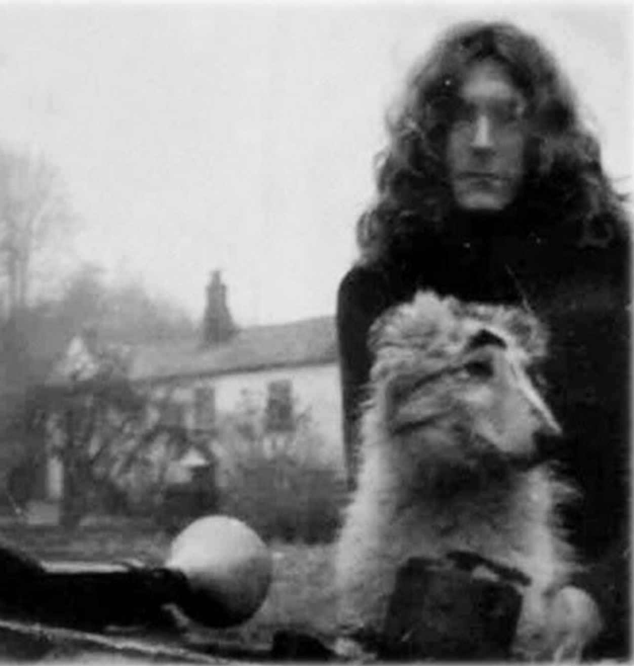 Led Zeppelin dog names