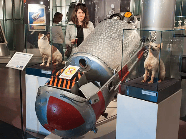 Meet Laika: The Stray Dog Who Paved the Way for Space Exploration