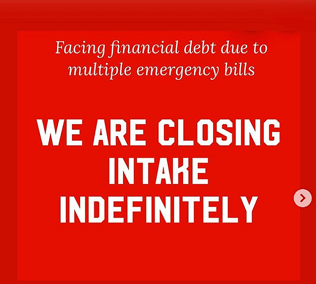 Owner Dumps Injured Pit Bull 7 Days After Car Accident, Rescuers Race Against Time To Save His Life