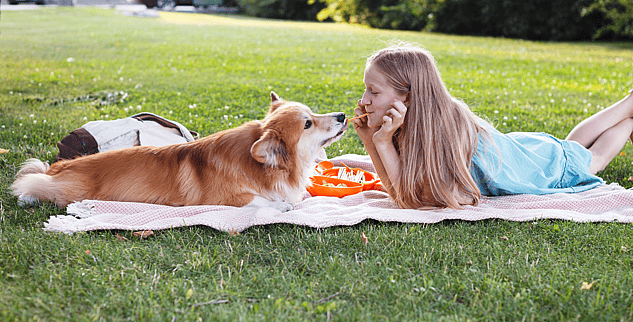 Dog's half birthday