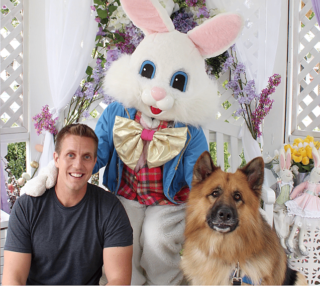 Chained Up German Shepherd