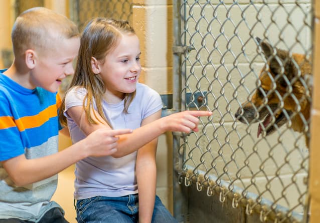 National Adopt a Shelter Pet Day