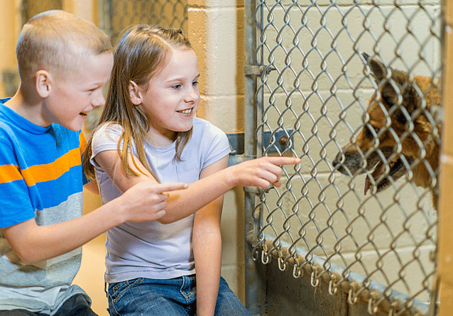 National Adopt a Shelter Pet Day