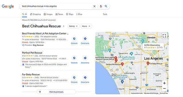 Google search result for “best chihuahua rescue in Los Angeles