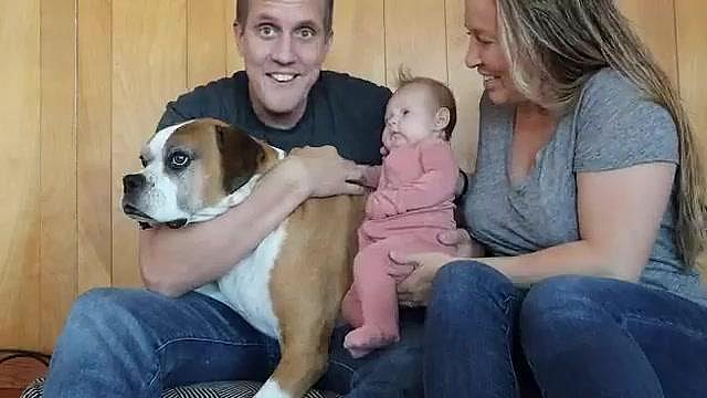 Hugging my dogs for too long