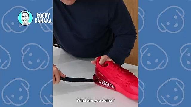 Man creates Brilliant Invention for his blind dogs: NIKE AIR SQUEAKERS