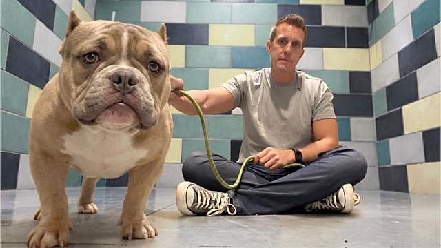 His Kennel Card Said ‘Animal Aggressive’..Then I Sat Down and Saw Something Else