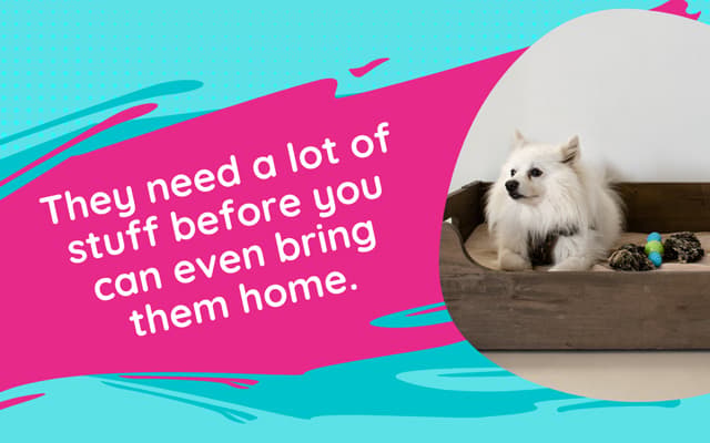 lot of stuff before you bring them home