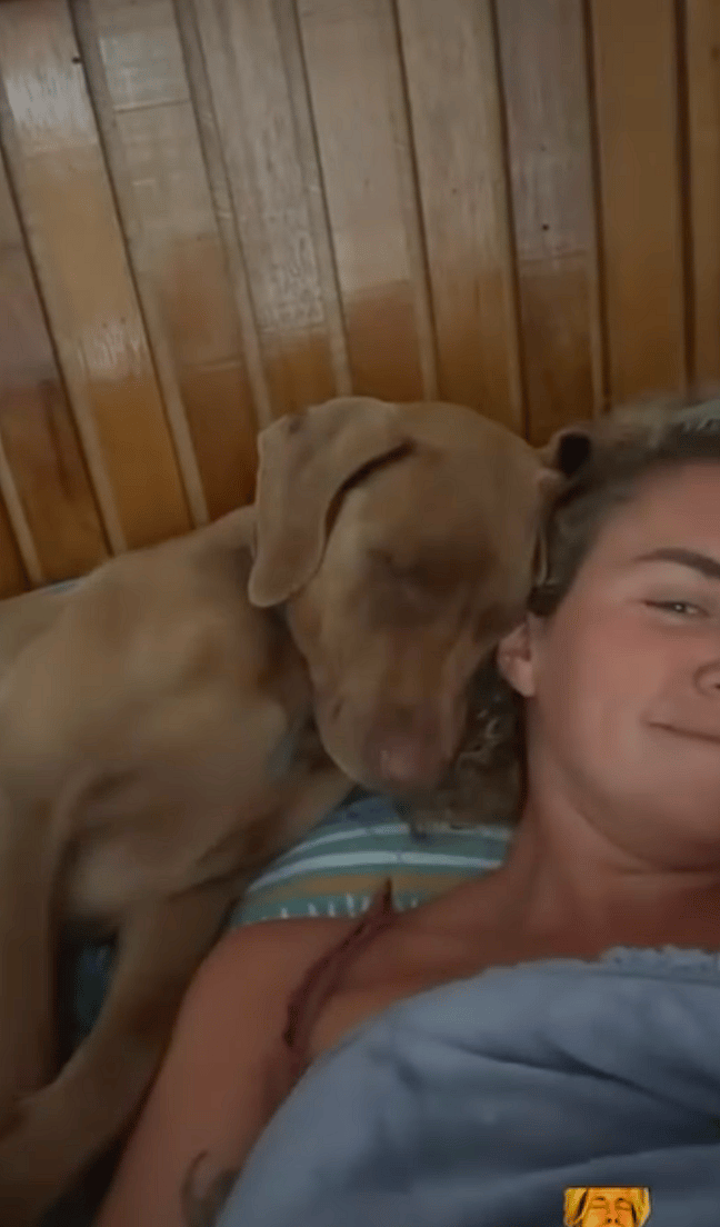 Emotional Goodbye: Dog Owner Bids Farewell to Baja's Beloved Stray Dogs