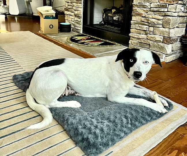 BLUE EYED KAYE AMAZING GIRL