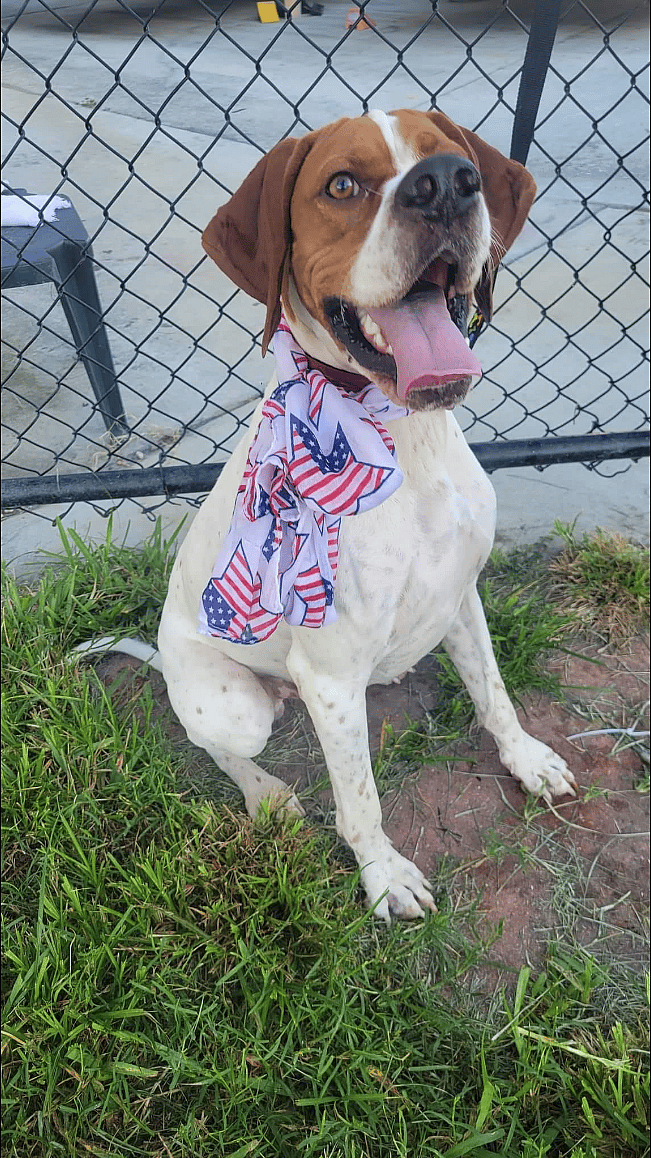 Zeke
