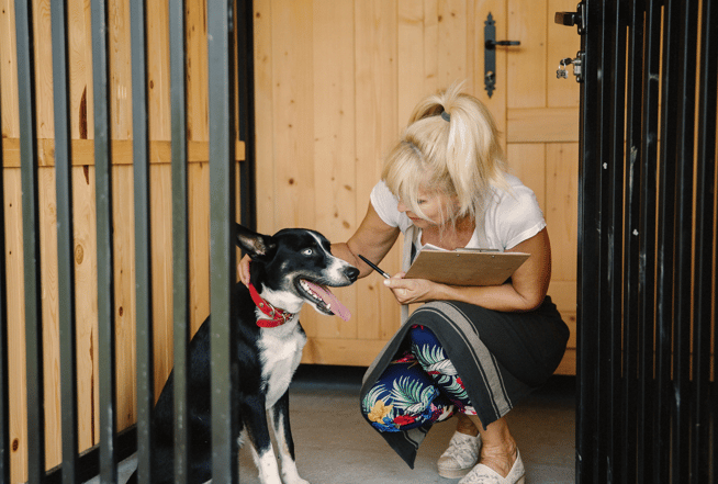 The Debate Between Dog Breeders and Adoption Advocates