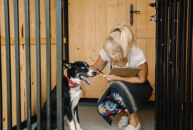 The Debate Between Dog Breeders and Adoption Advocates