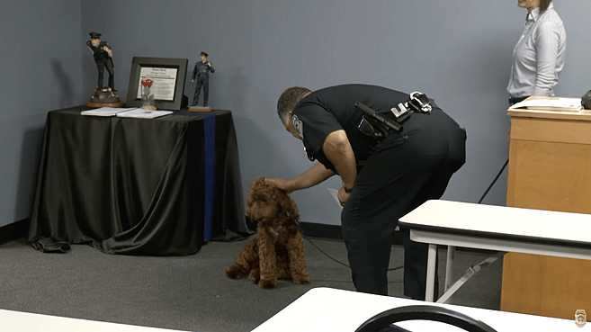 This DOODLE Is A Police Officer