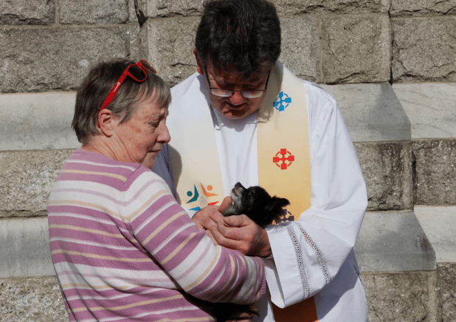 Religion is Going to the Dogs