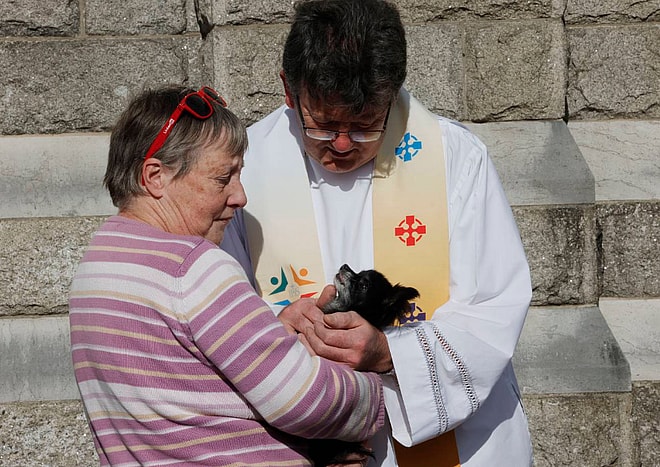 Religion is Going to the Dogs