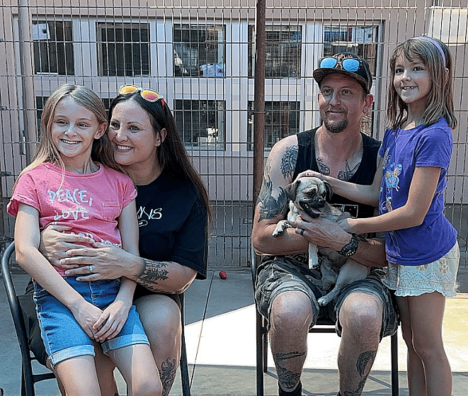Sitting With Dogs Heartwarming Tale of Pugsly