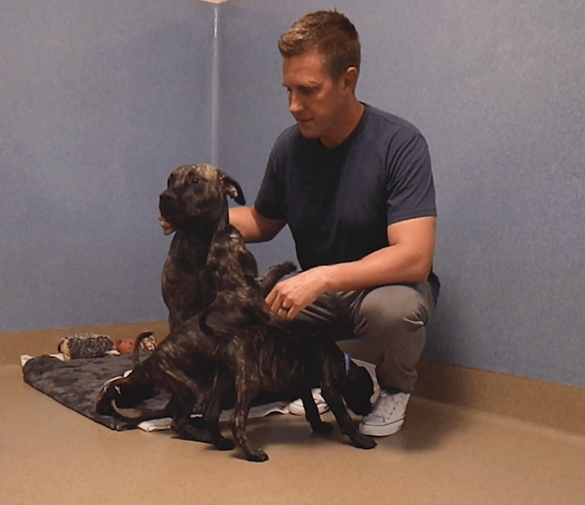 Mama is left in the shelter alone