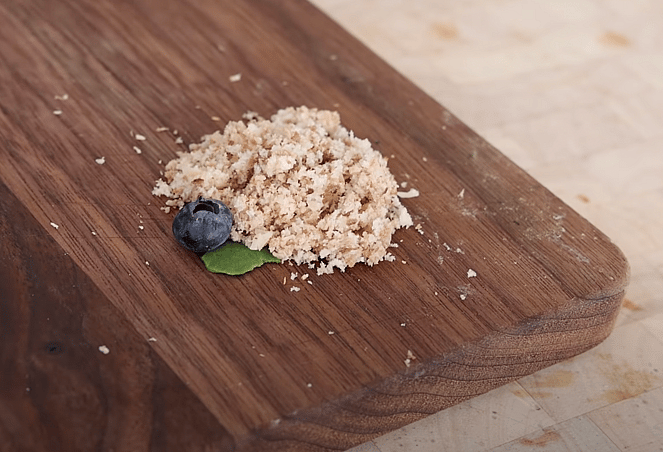 Letting a tiny Homeless Dog Pick his First Meal